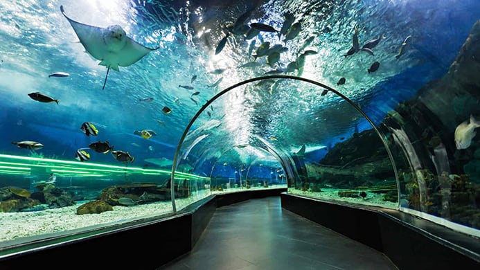 Dubai Aquarium