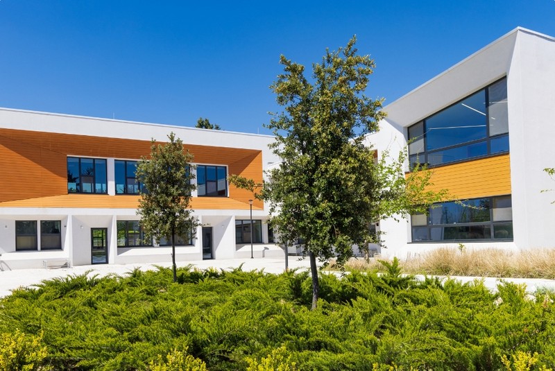 סלוניקי עם הילדים