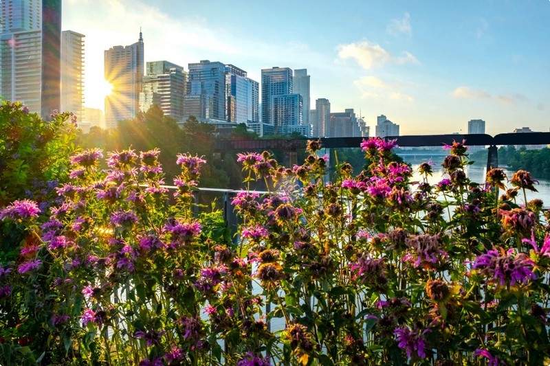 אוסטין טקסס