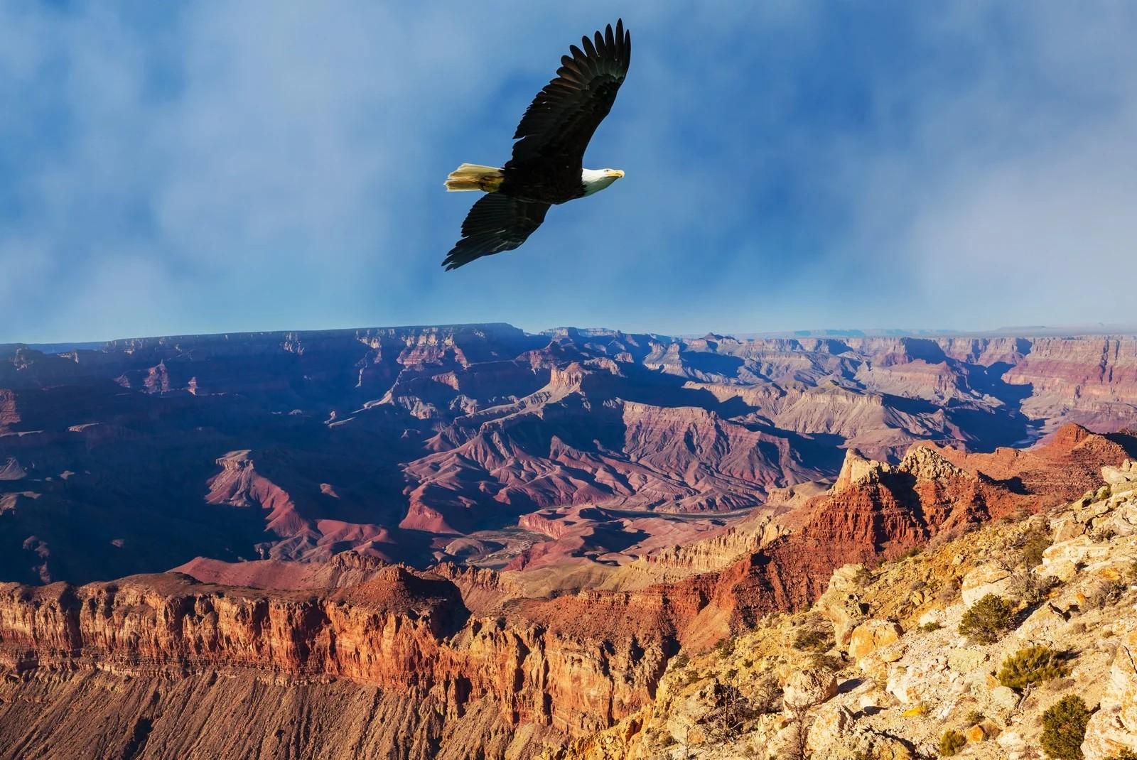 Landing USA